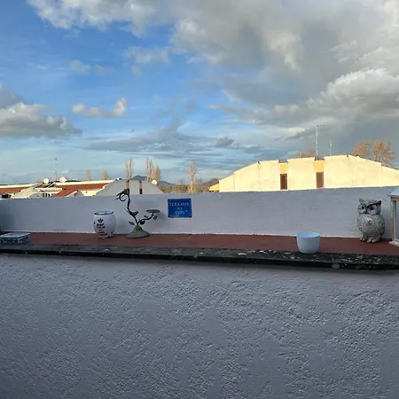 شقة Pause Marina di Cerveteri
